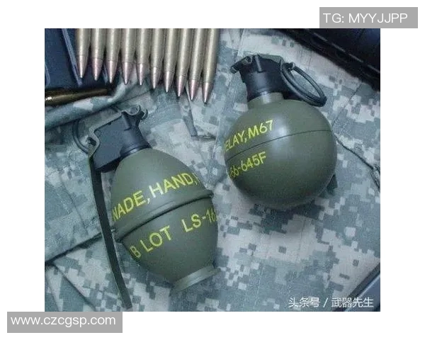 重磅专题:探讨JDG如何引领区域防守的全新变革与战术创新