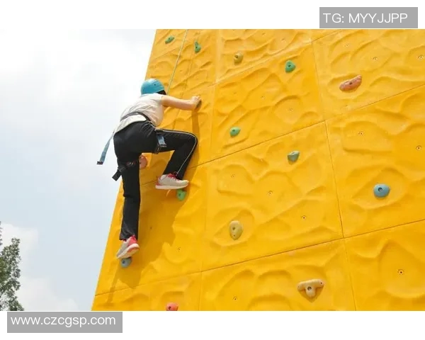 世界纪录保持者背后的传奇故事与挑战突破之路