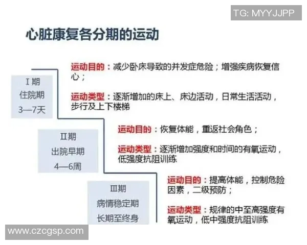 以球技提升为核心,探索不同运动项目中的技巧与训练方法